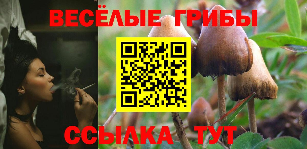Галлюциногенные грибы мицелий Ковров